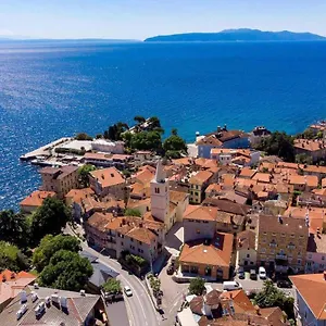 https://apartment-maric-lovran.in-istria.net